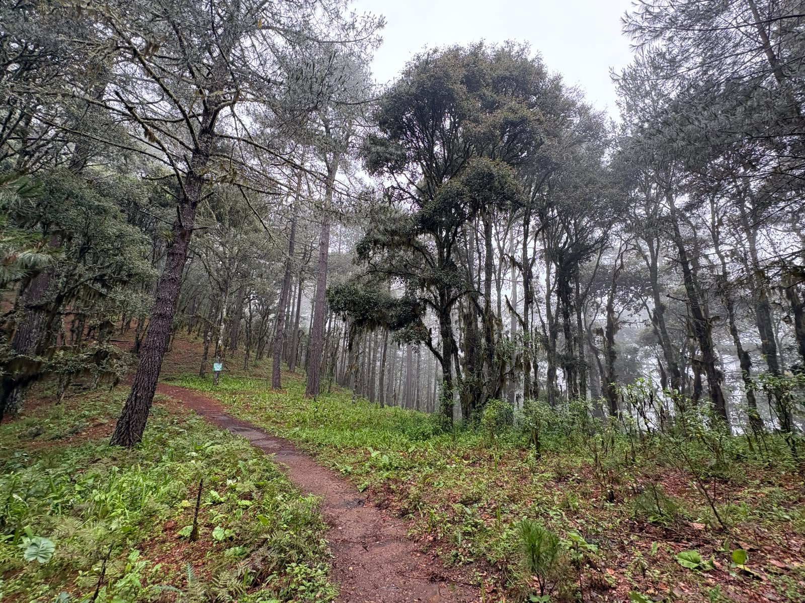 Ruta 6: Senderismo a Santa Catarina Ixtepeji